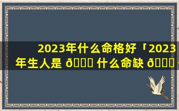 2023年什么命格好「2023年生人是 🐝 什么命缺 🐟 什么」